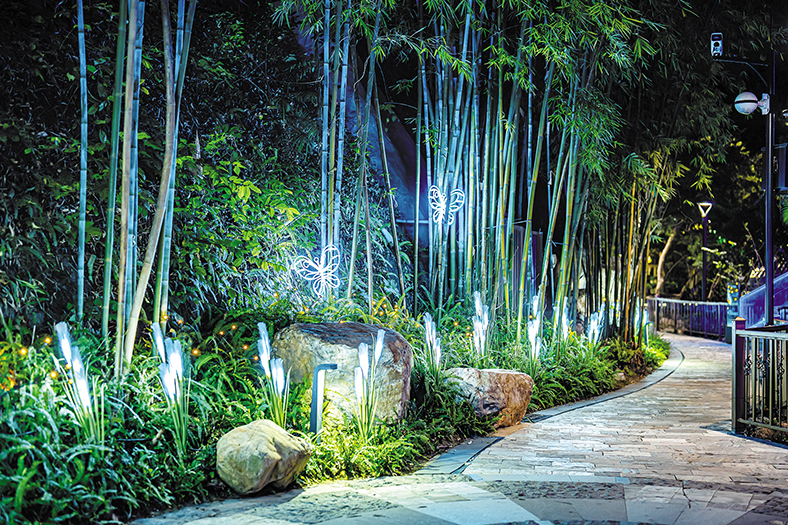 46176(1).jpg 46176(1).jpg